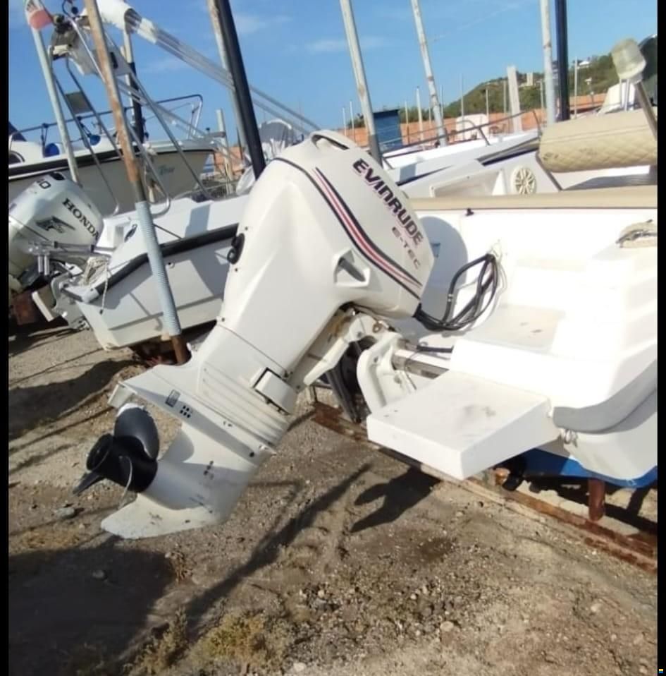 EVINRUDE E-TEC 40 CV 2HP