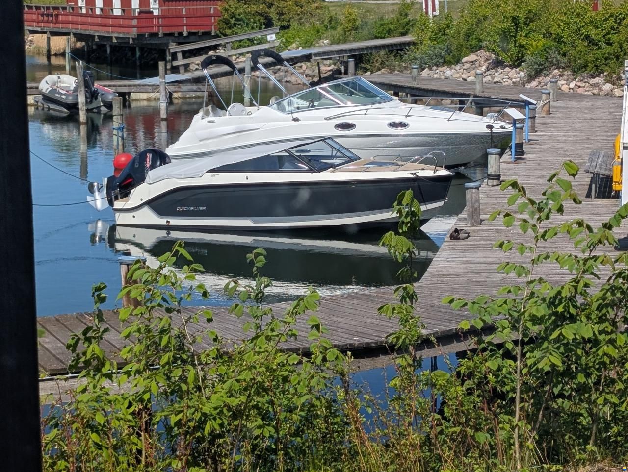 Quicksilver 605 Activ Cruiser