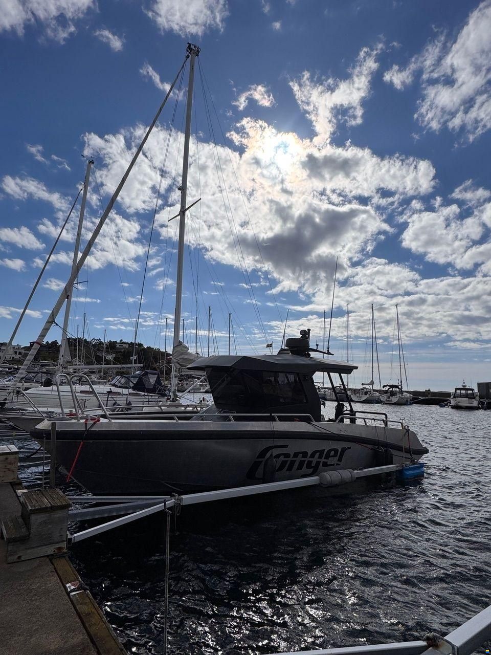 Conger C34