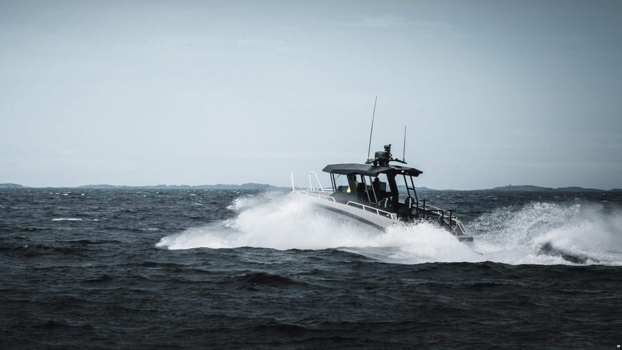 Conger C34