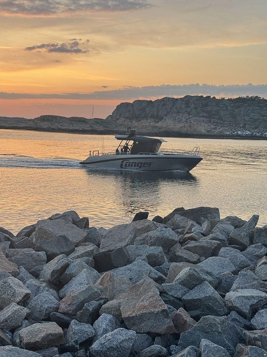 Conger C34
