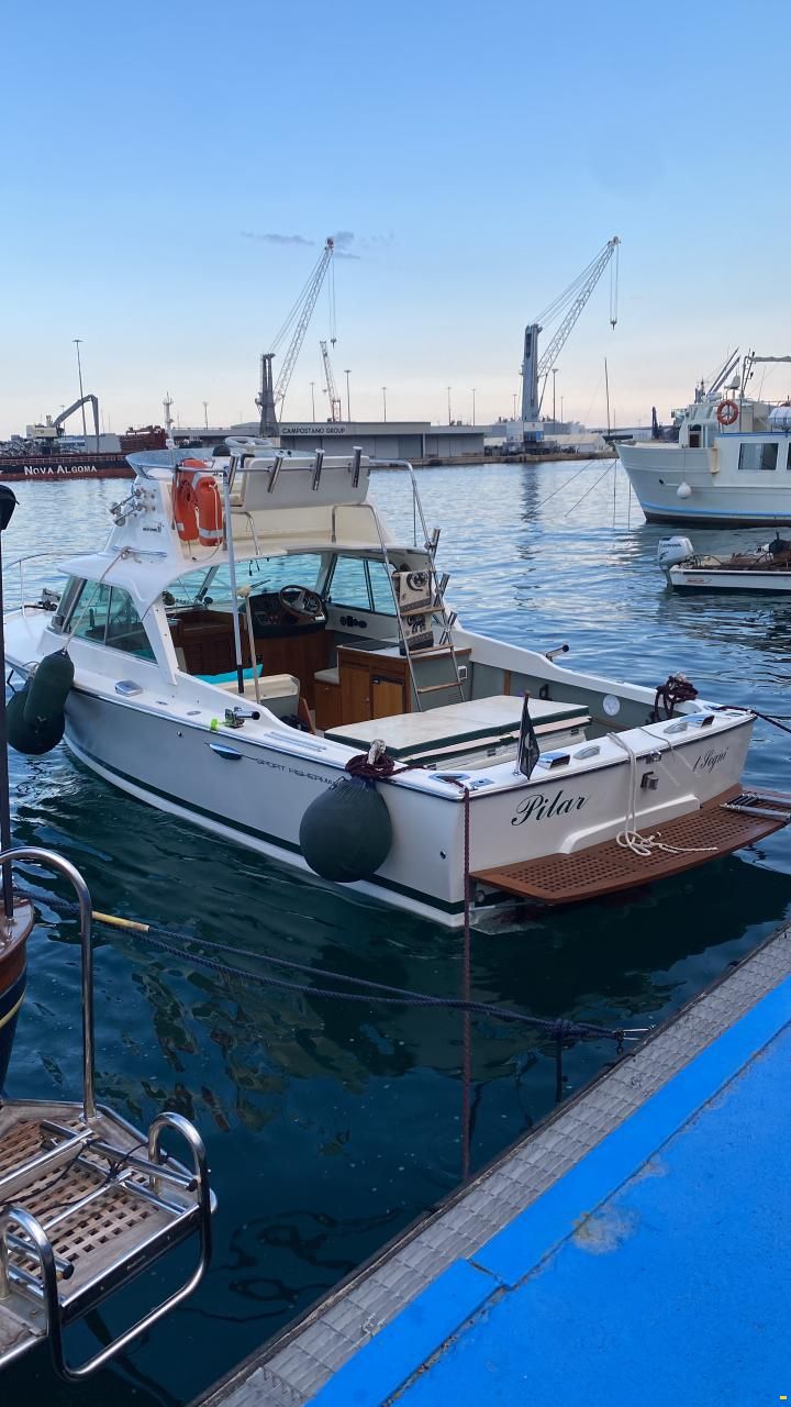 Riva Bertram 25