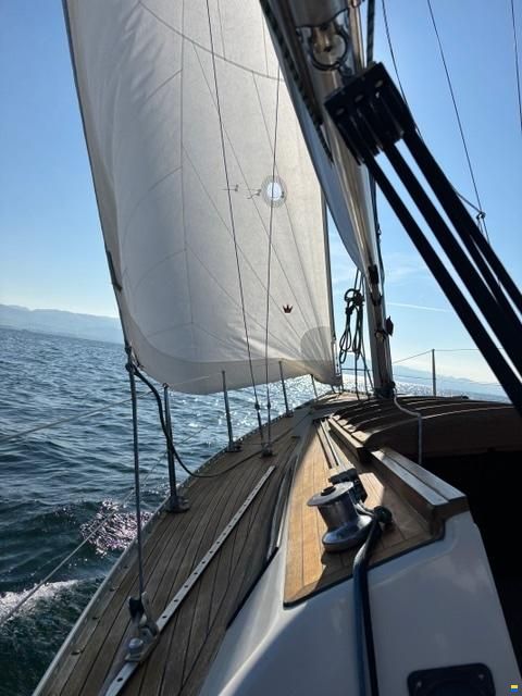 Helmsmann Senorita Helmsman