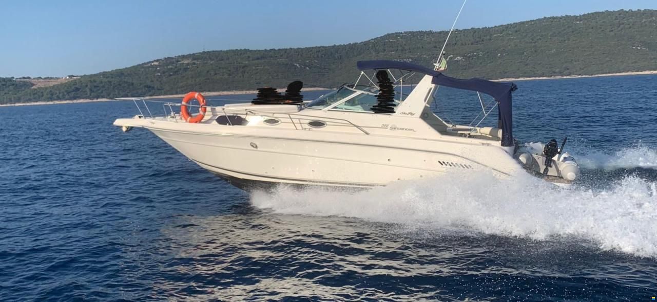 Sea Ray 300 DA