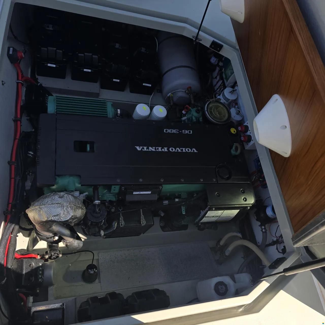 Sargo 28