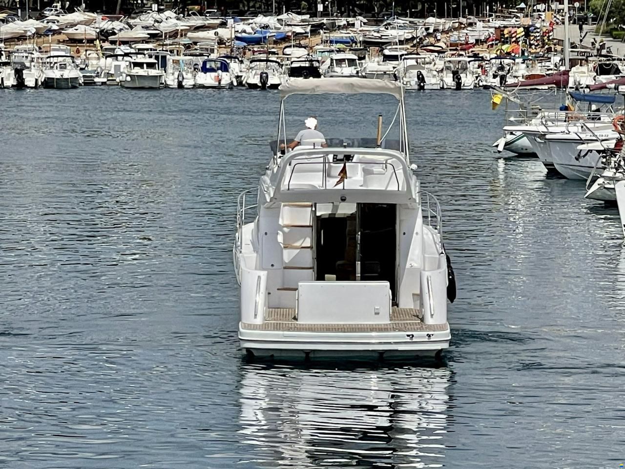 Genesis 37 Flybridge