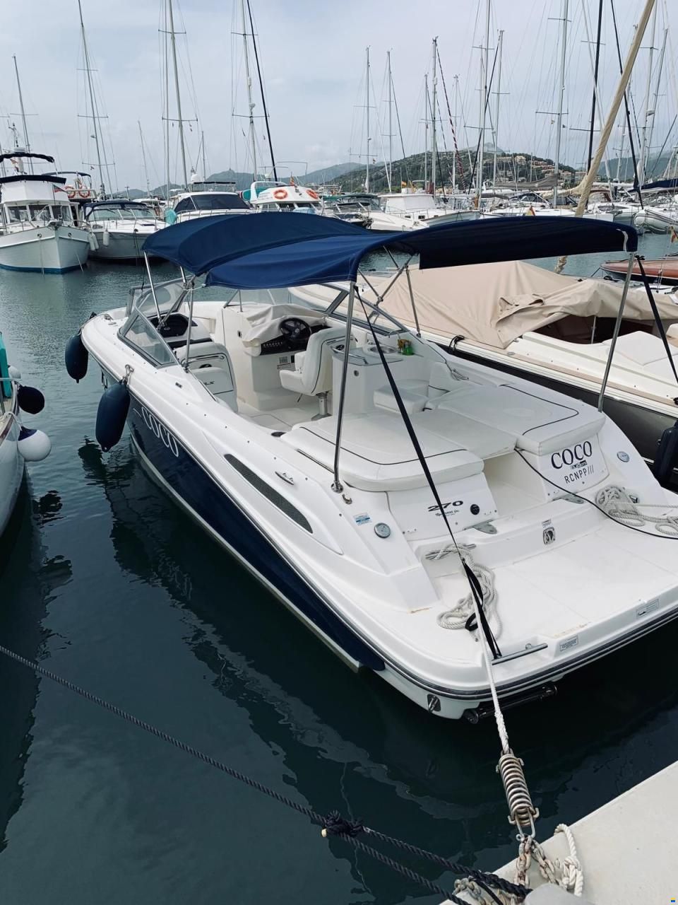 Sea Ray 270 Select EX