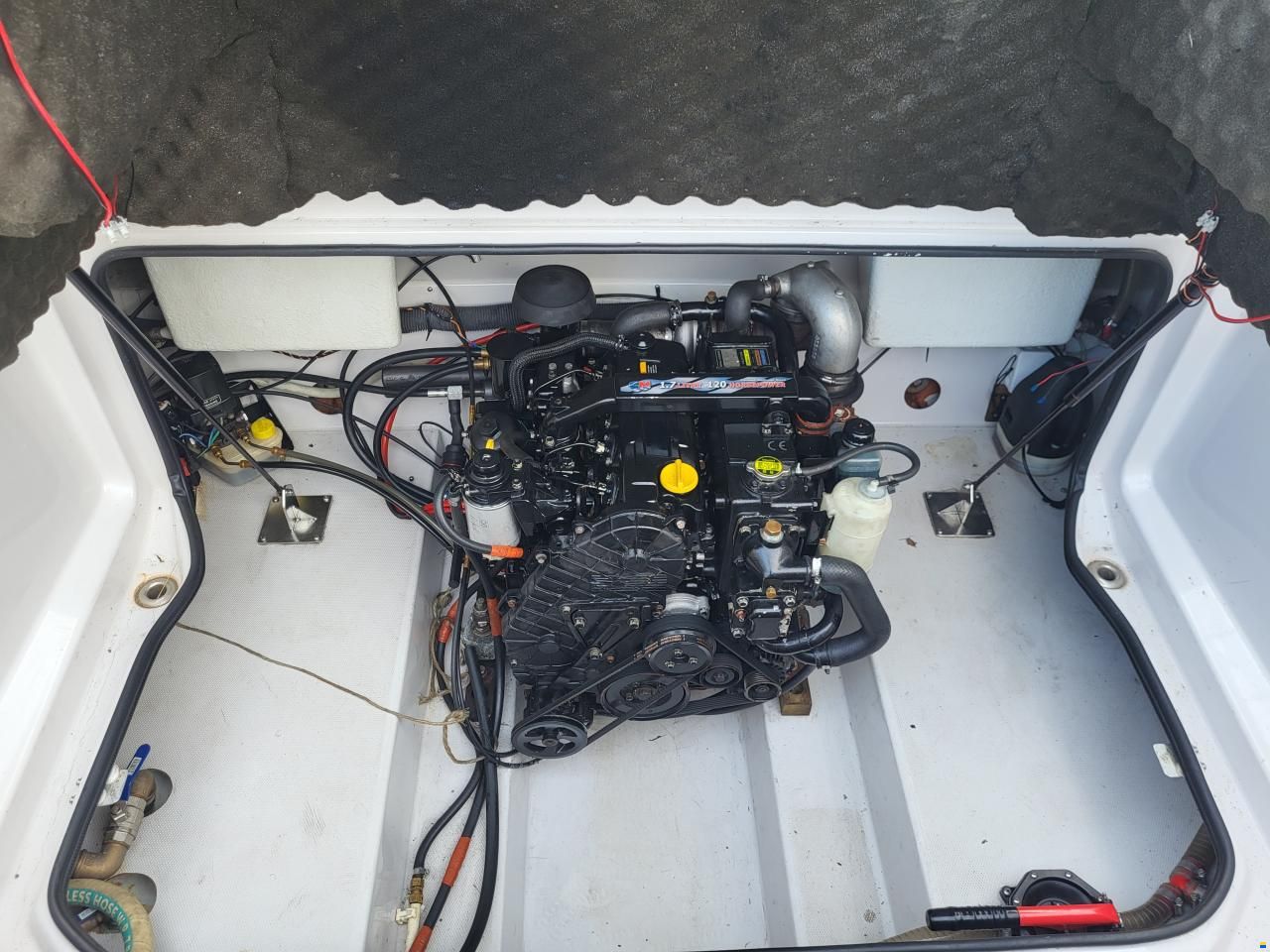 Askeladden 645 Beetle
