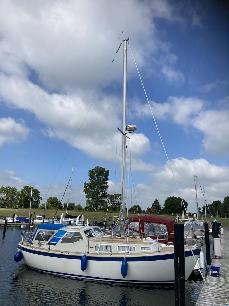 LM Boats 27
