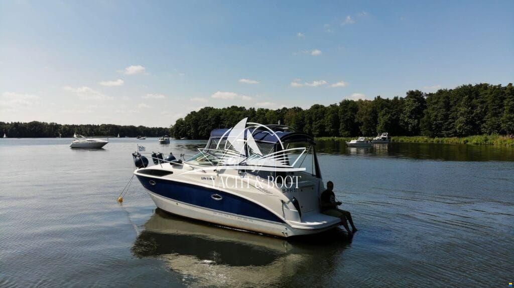 Bayliner 265