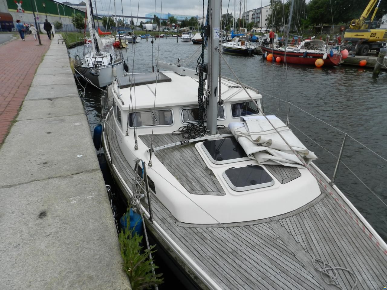 Sirius 31 DS