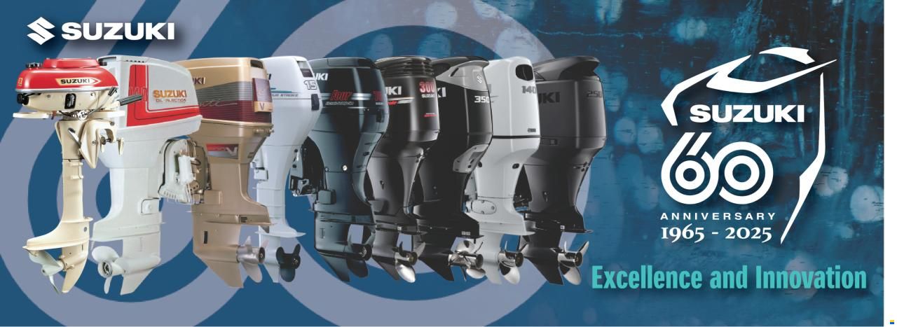 Suzuki 2.5 - 250PS special offers