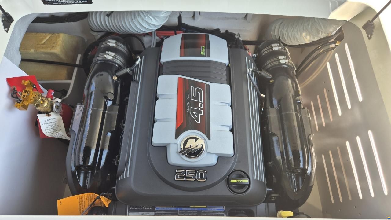 Sea Ray 190 SPX