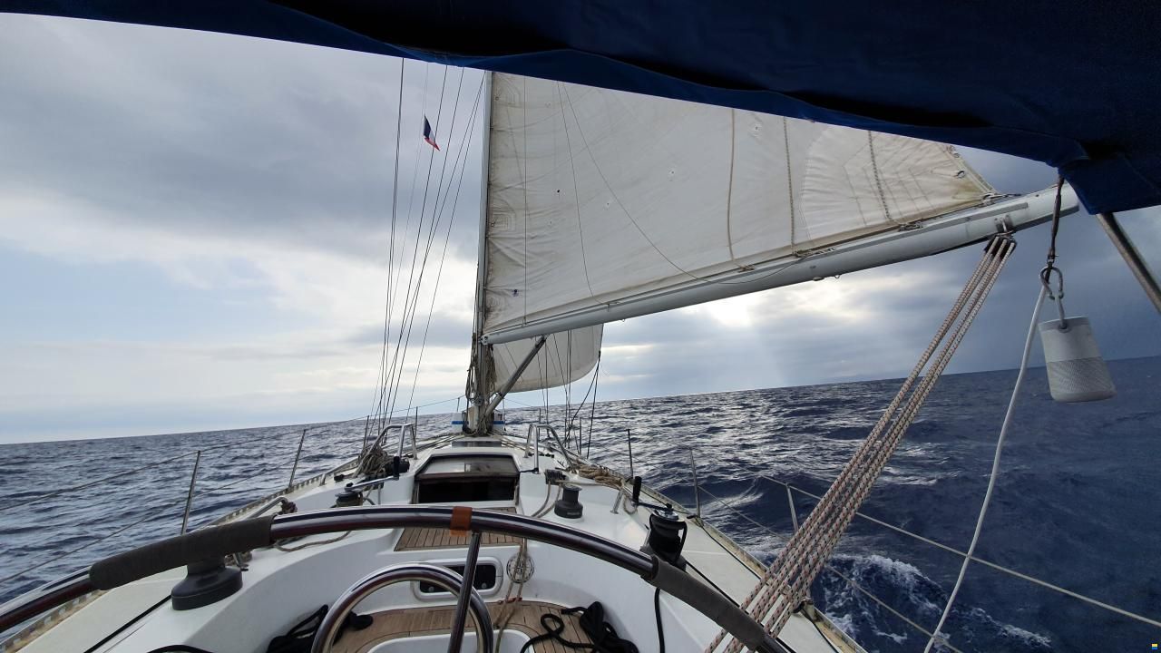 Comar Genesi Sport 43