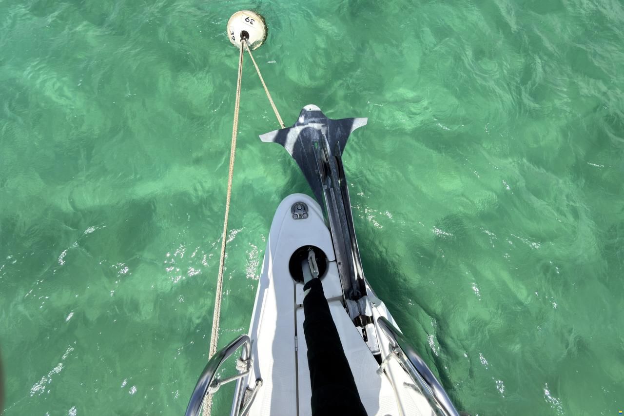 Bavaria Vision 46
