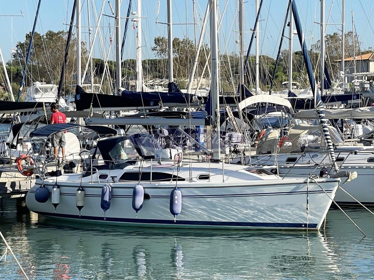 Catalina 309