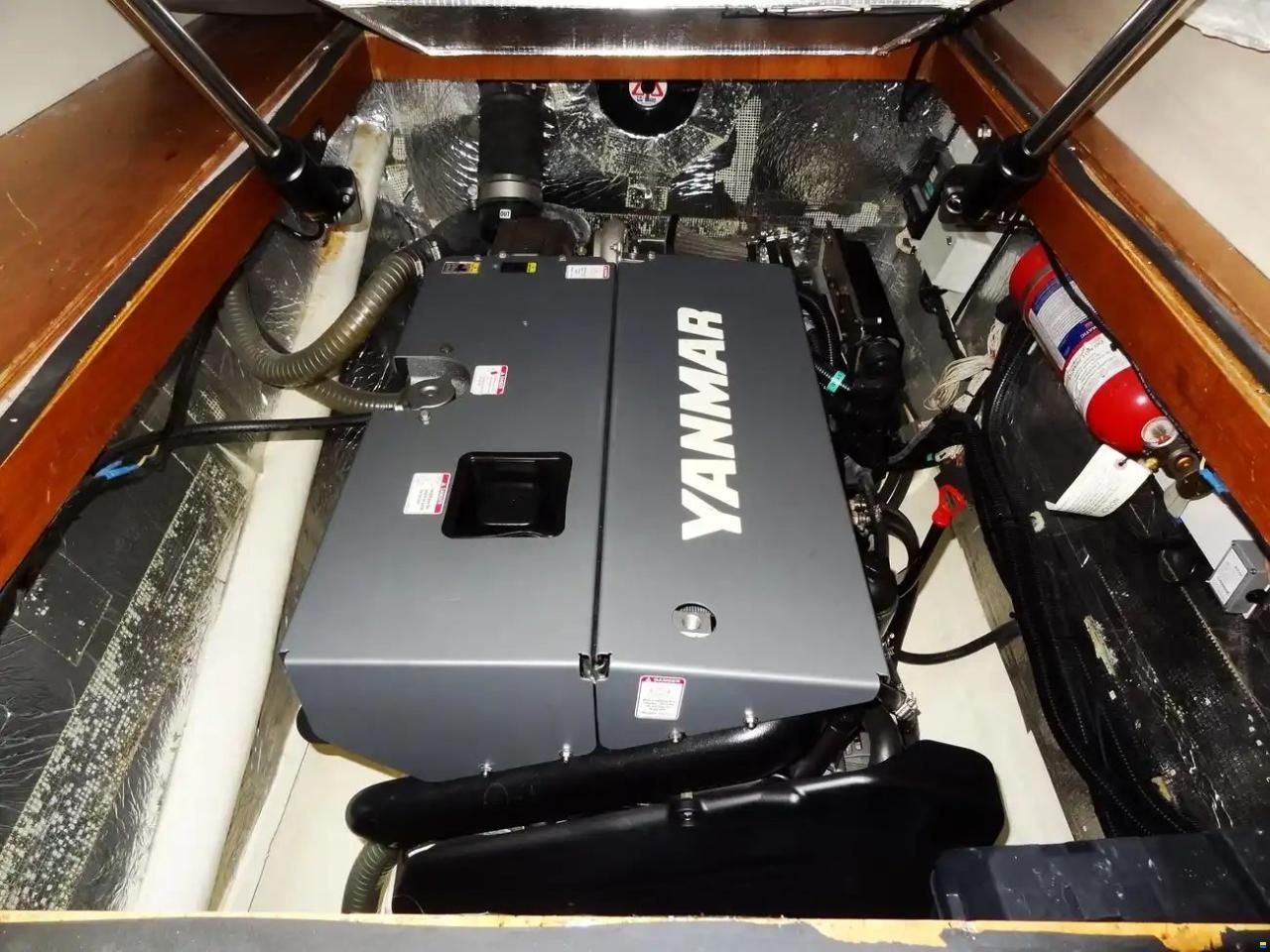 Leopard 43 Powercat