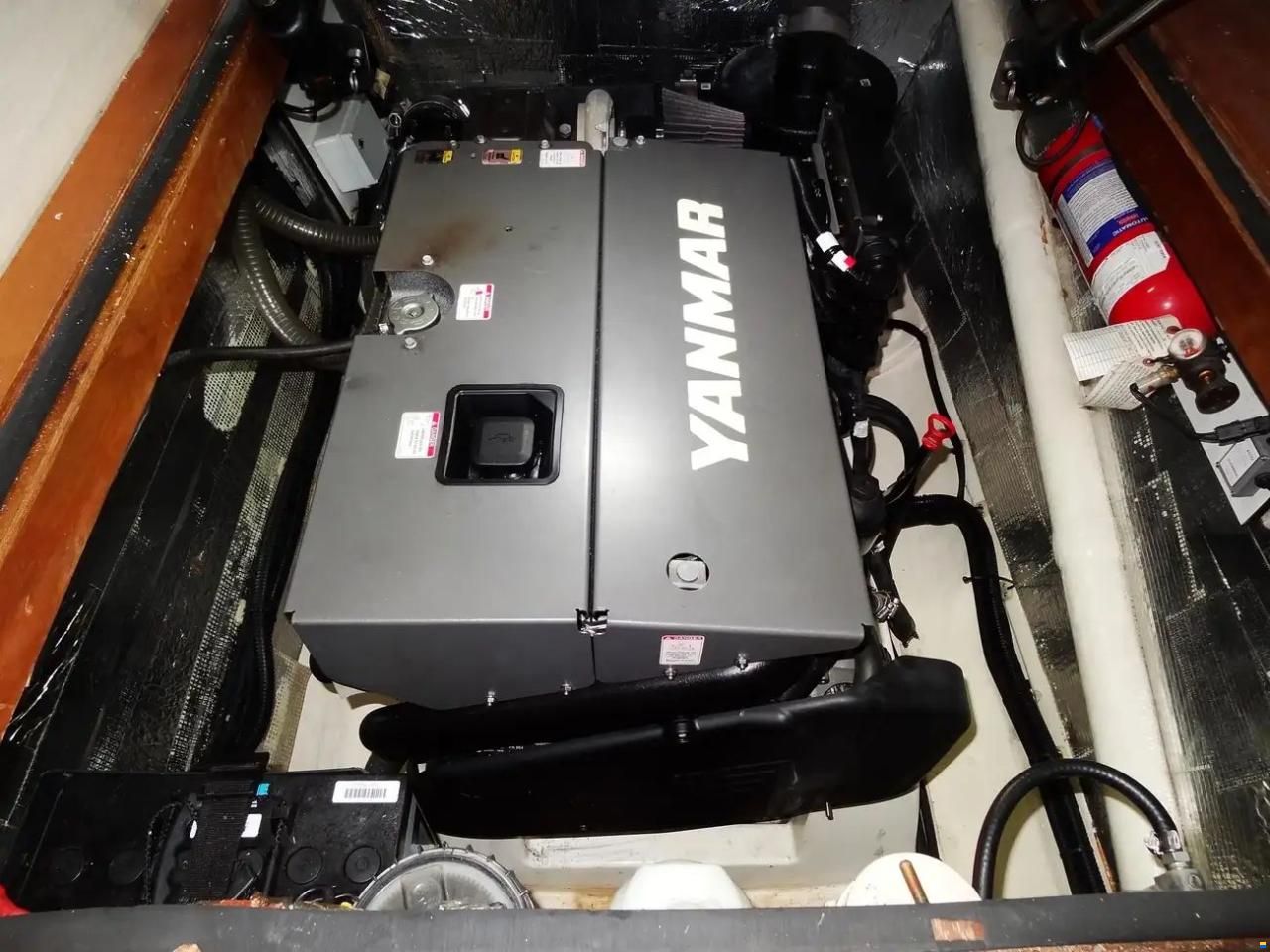 Leopard 43 Powercat