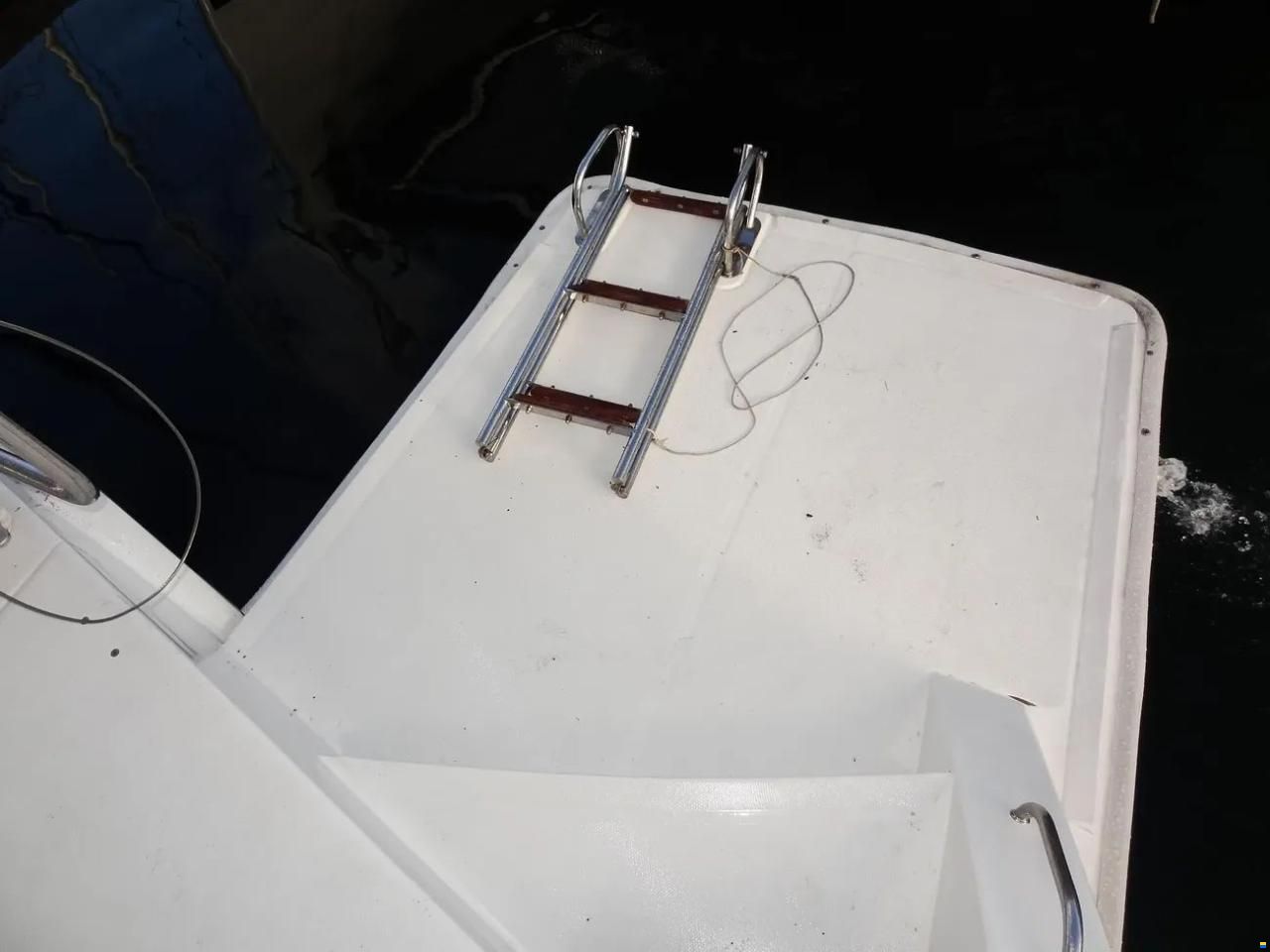 Leopard 43 Powercat