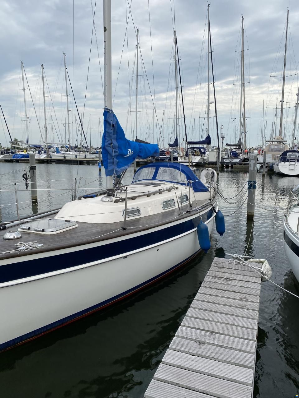 Hallberg-Rassy HR29