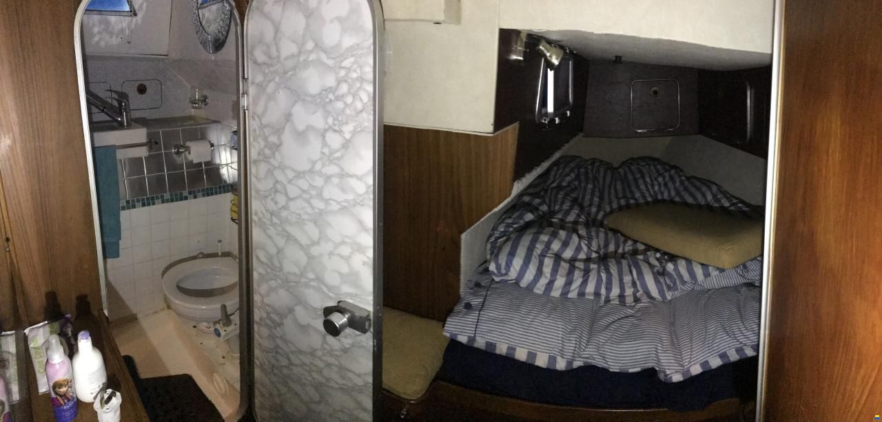 Sigma 41