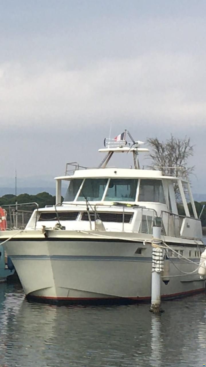 Ancora 44