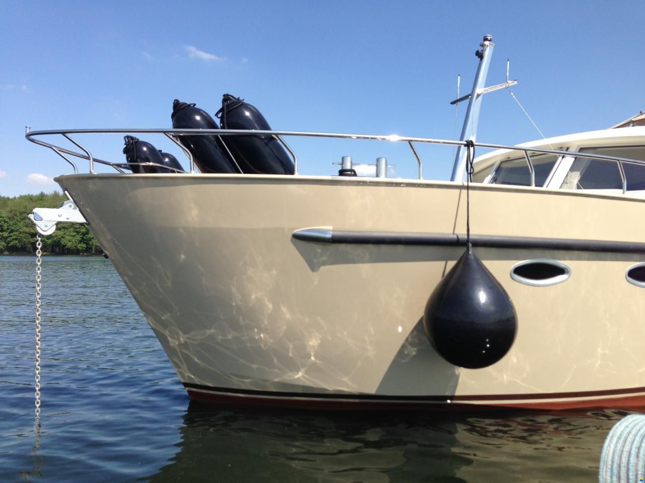 Linskens Catfish 46