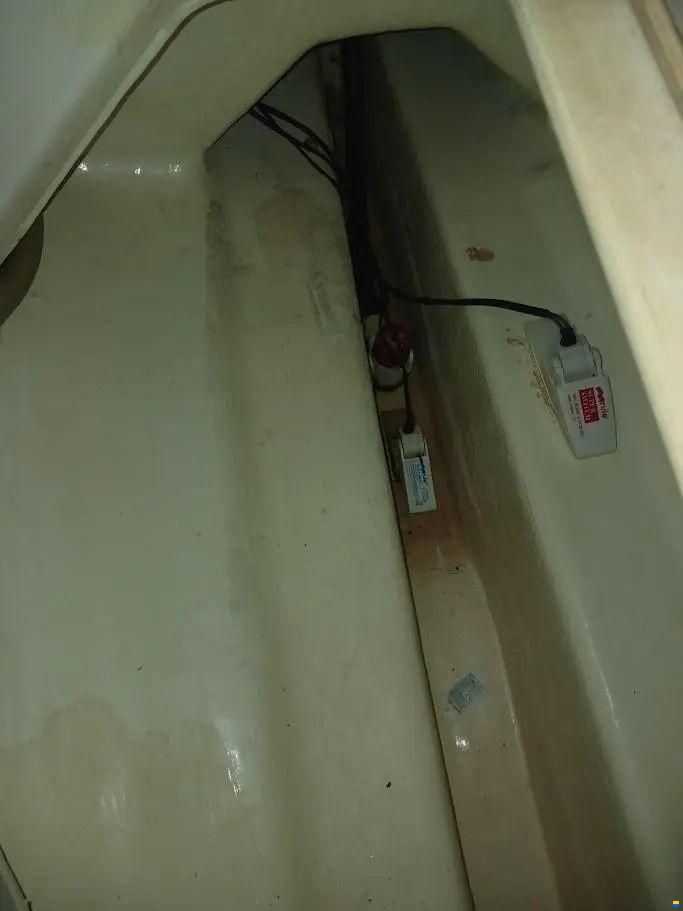 Leopard 40