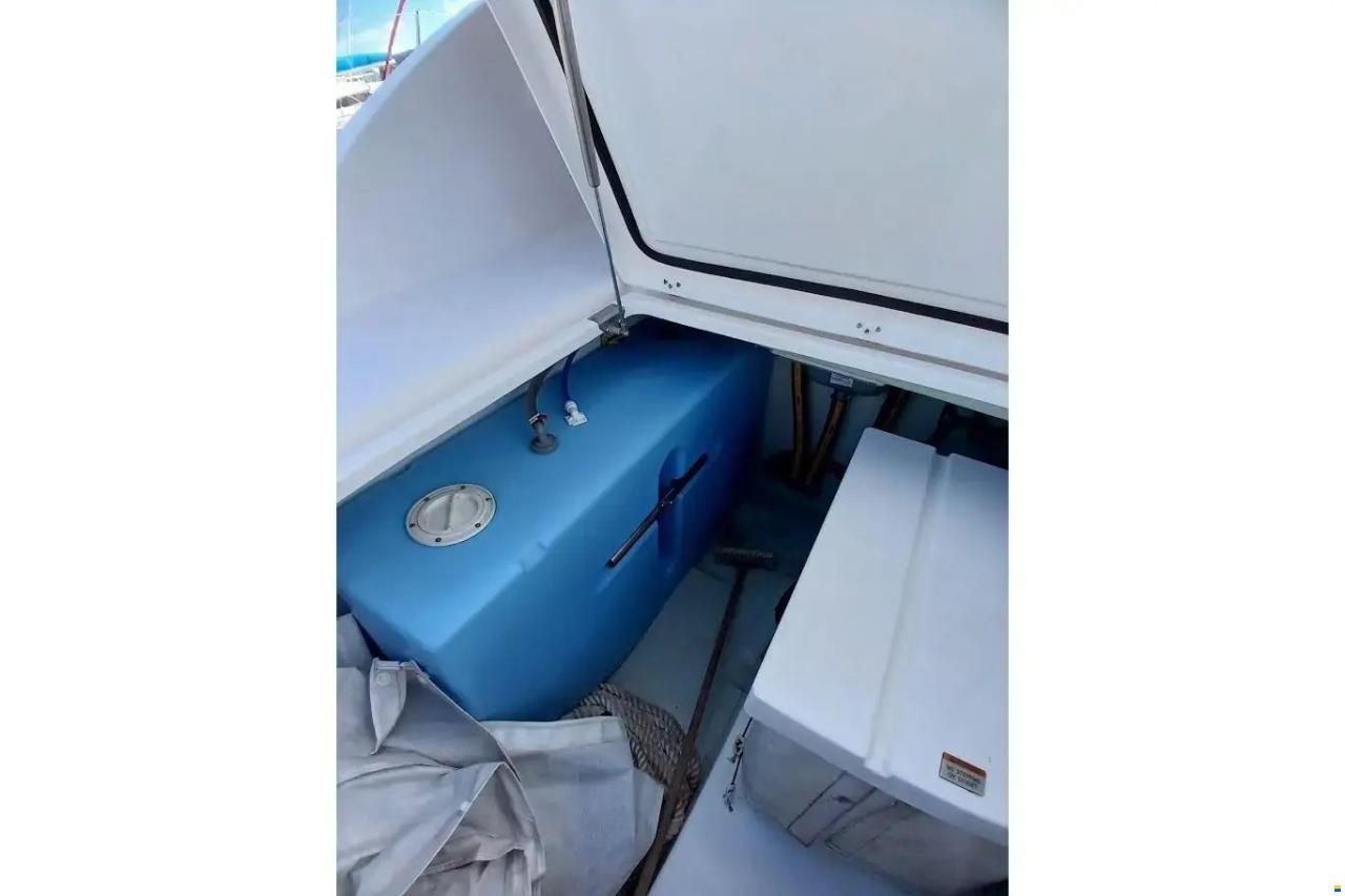 Leopard 40