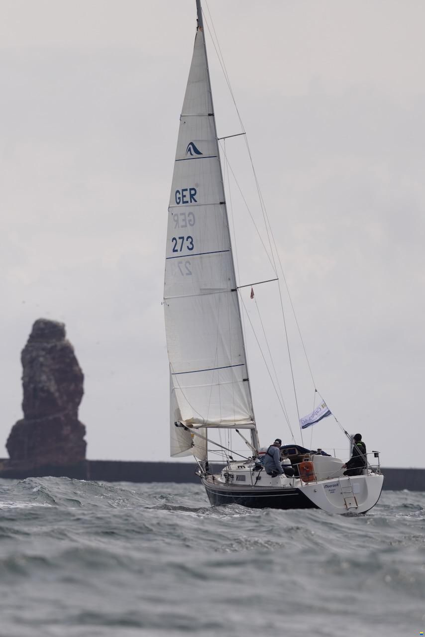 Hanse 311