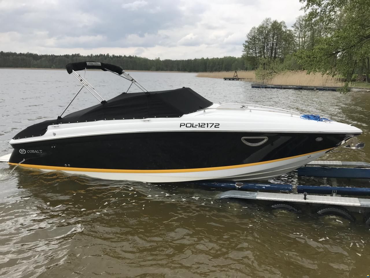 Cobalt 243 Cuddy