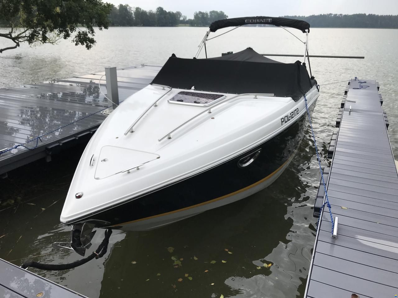 Cobalt 243 Cuddy