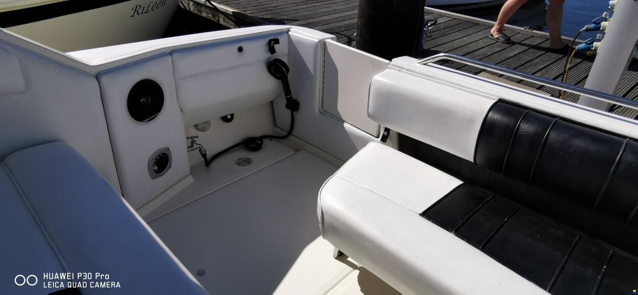 Sea Ray Sundancer 290