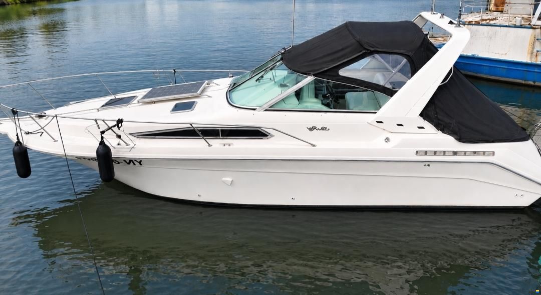 Sea Ray Sundancer 290