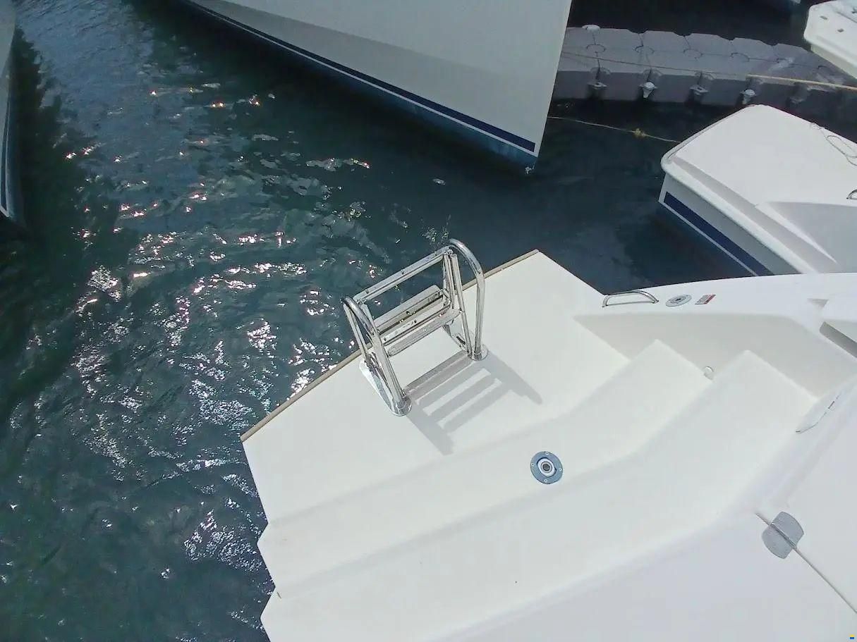 Leopard 50