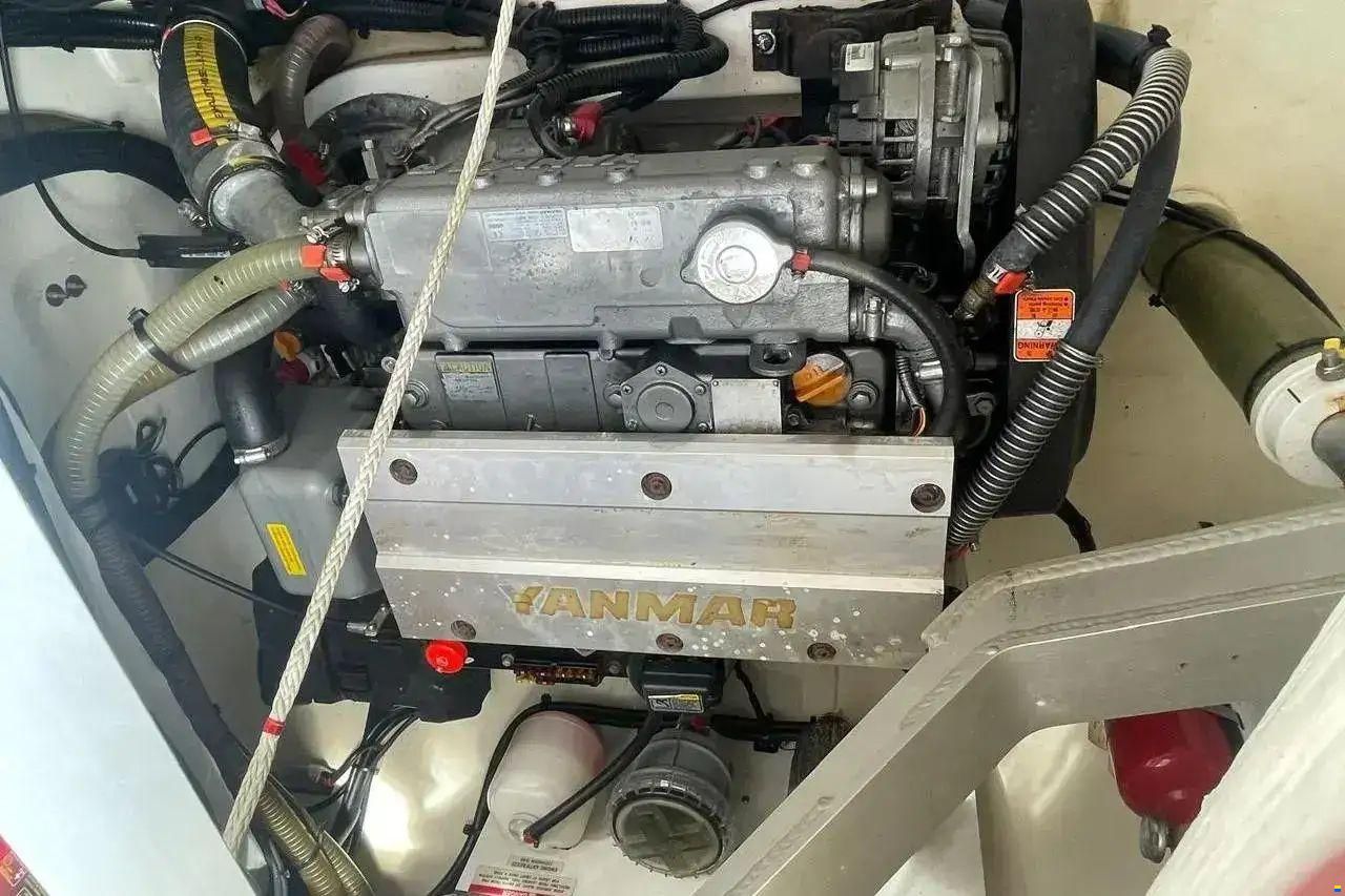 Leopard 42