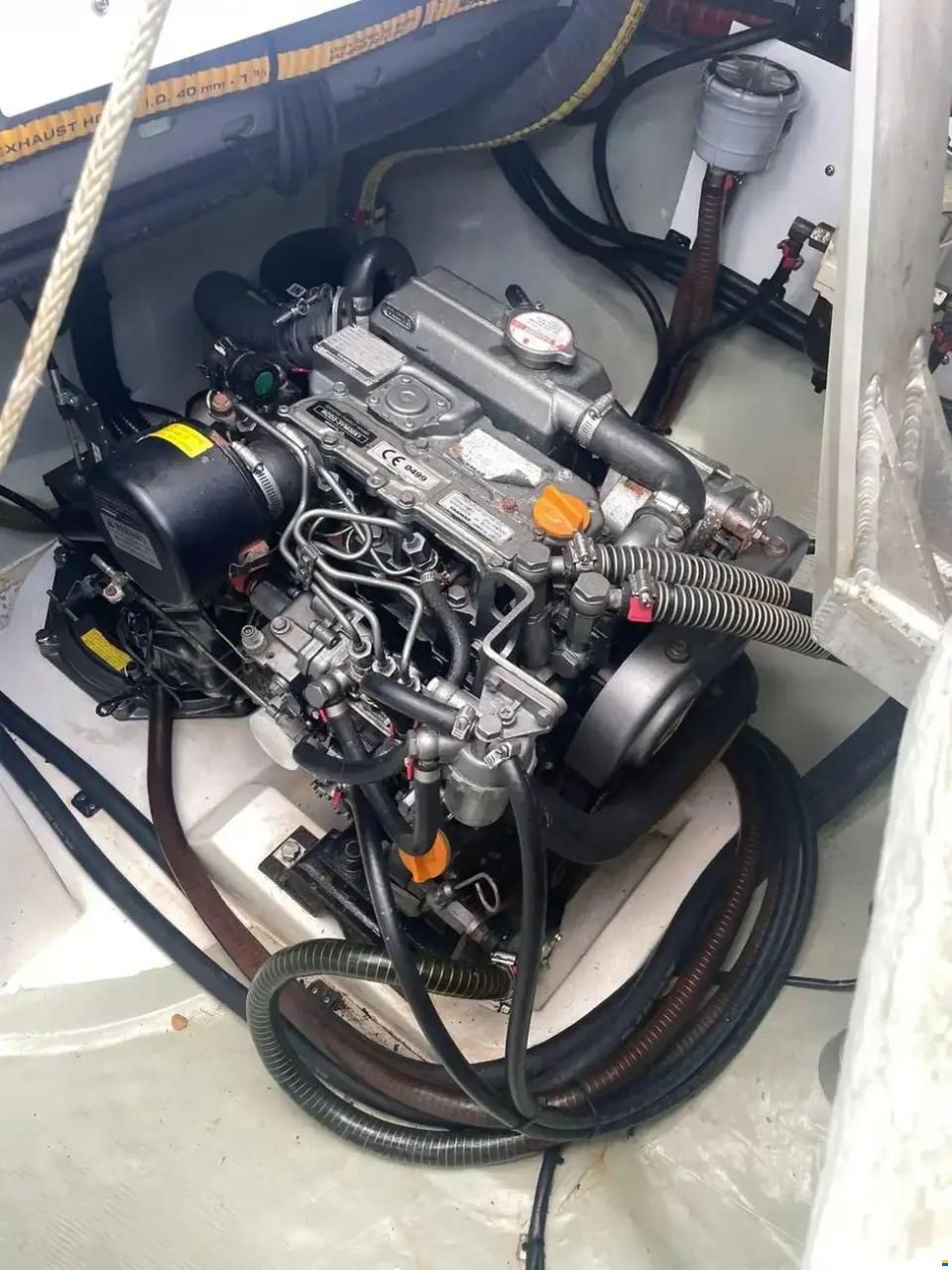 Leopard 40
