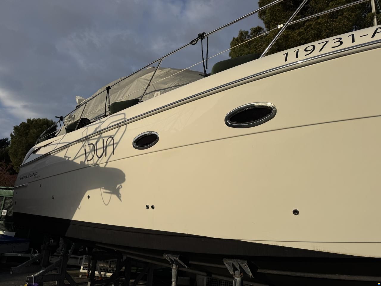 Bavaria Sport 33