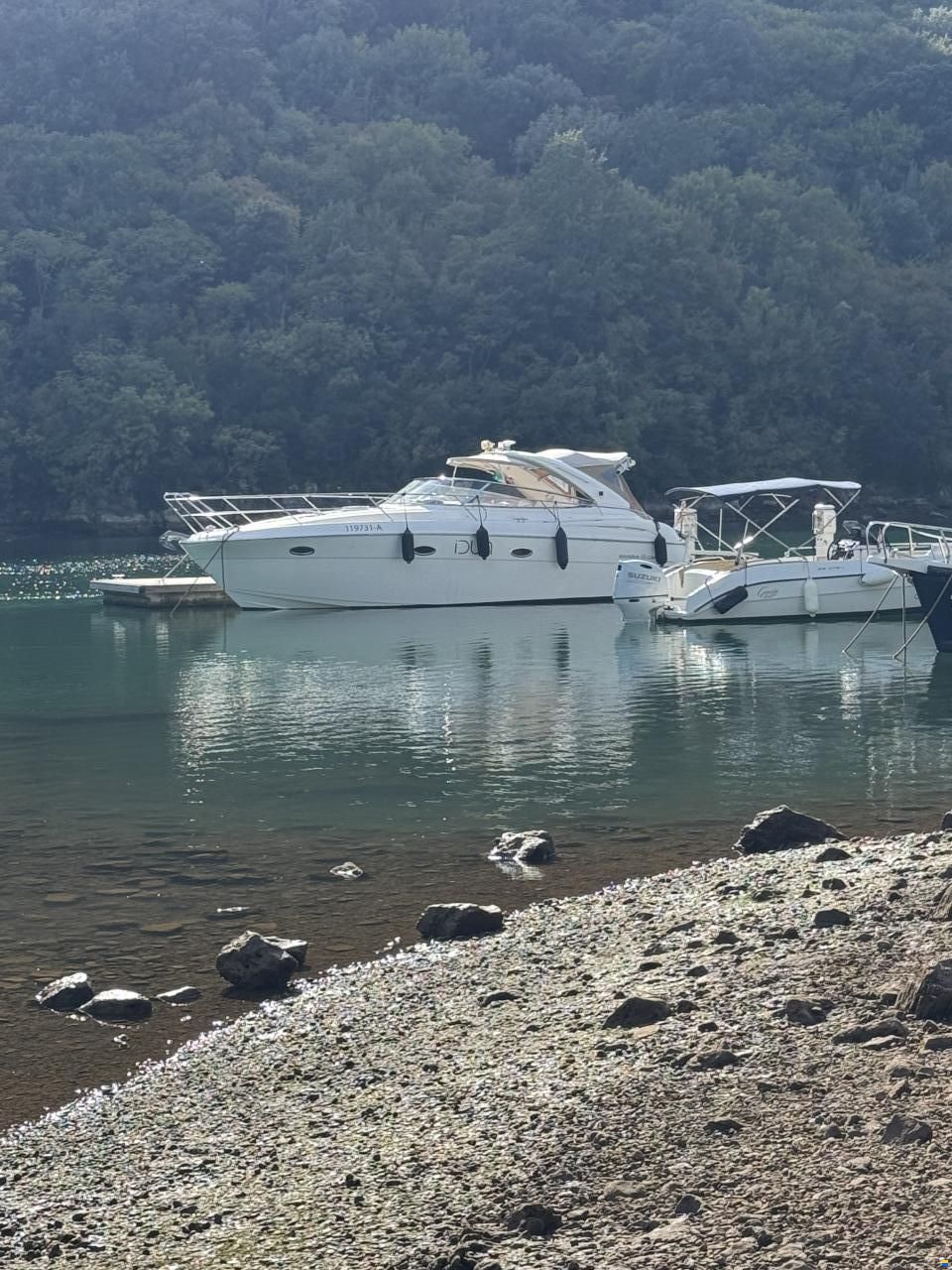 Bavaria Sport 33