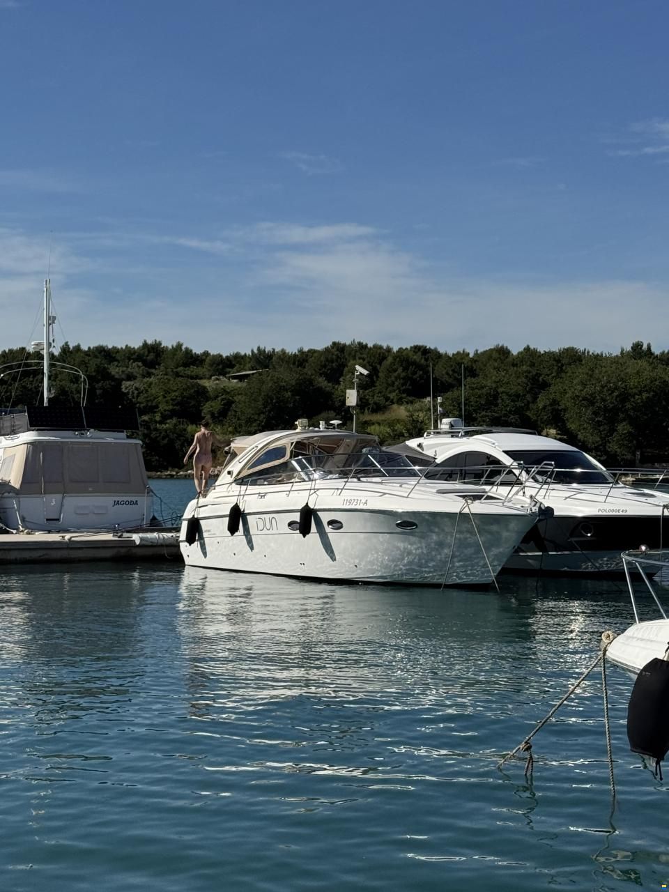 Bavaria Sport 33