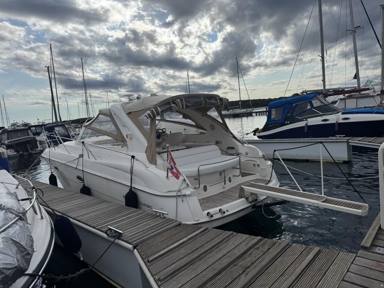Bavaria Sport 33