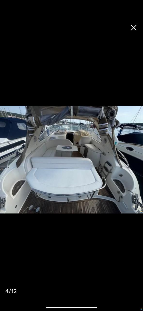 Bavaria Sport 33