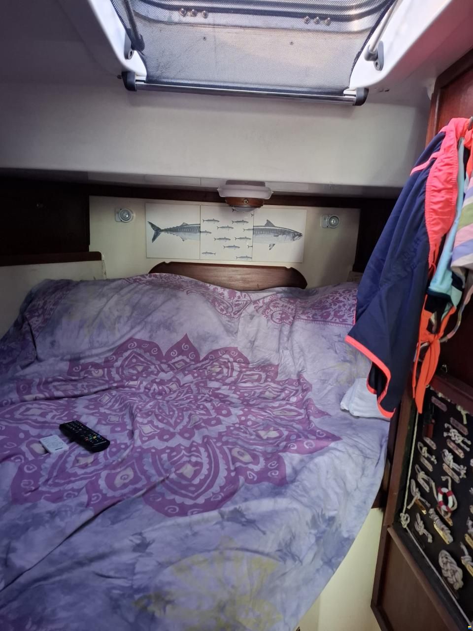 Cantiere del Serchio Stratos Big Tuna 31 Fly