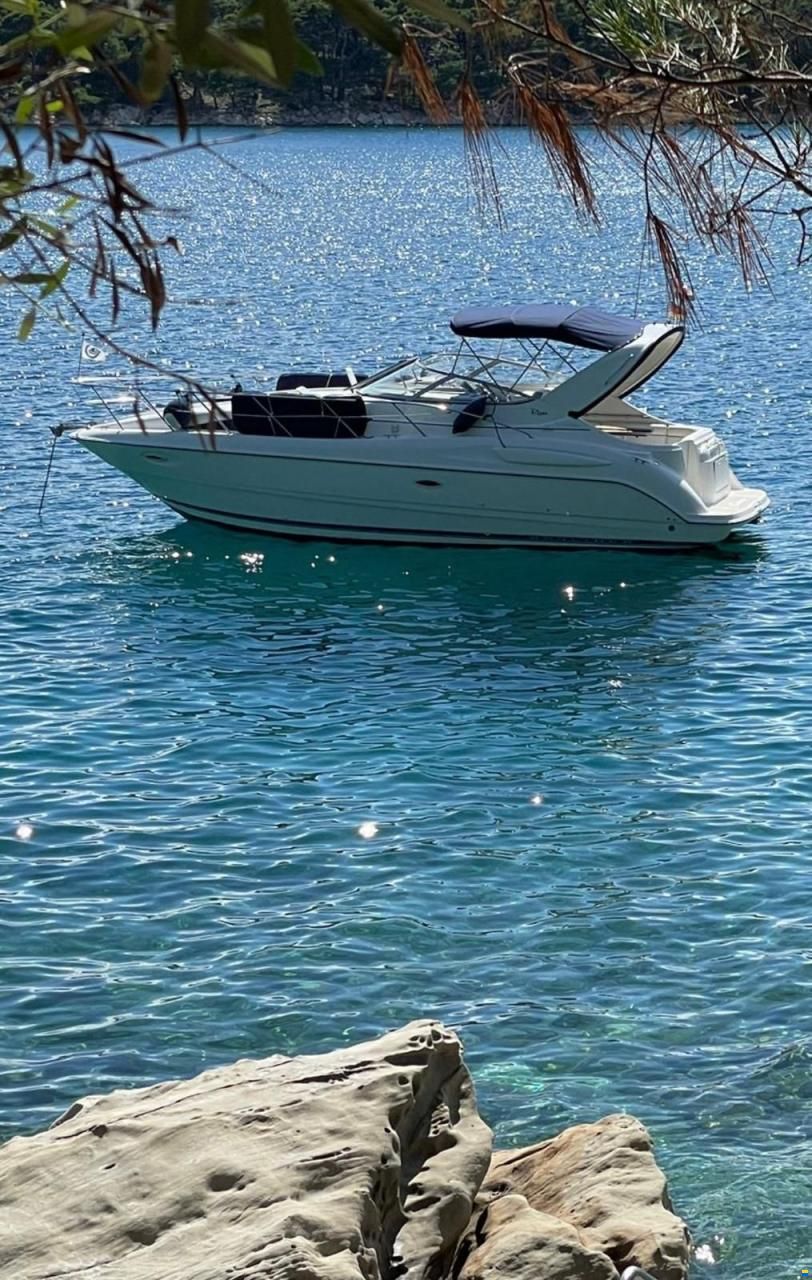 Bayliner 3055
