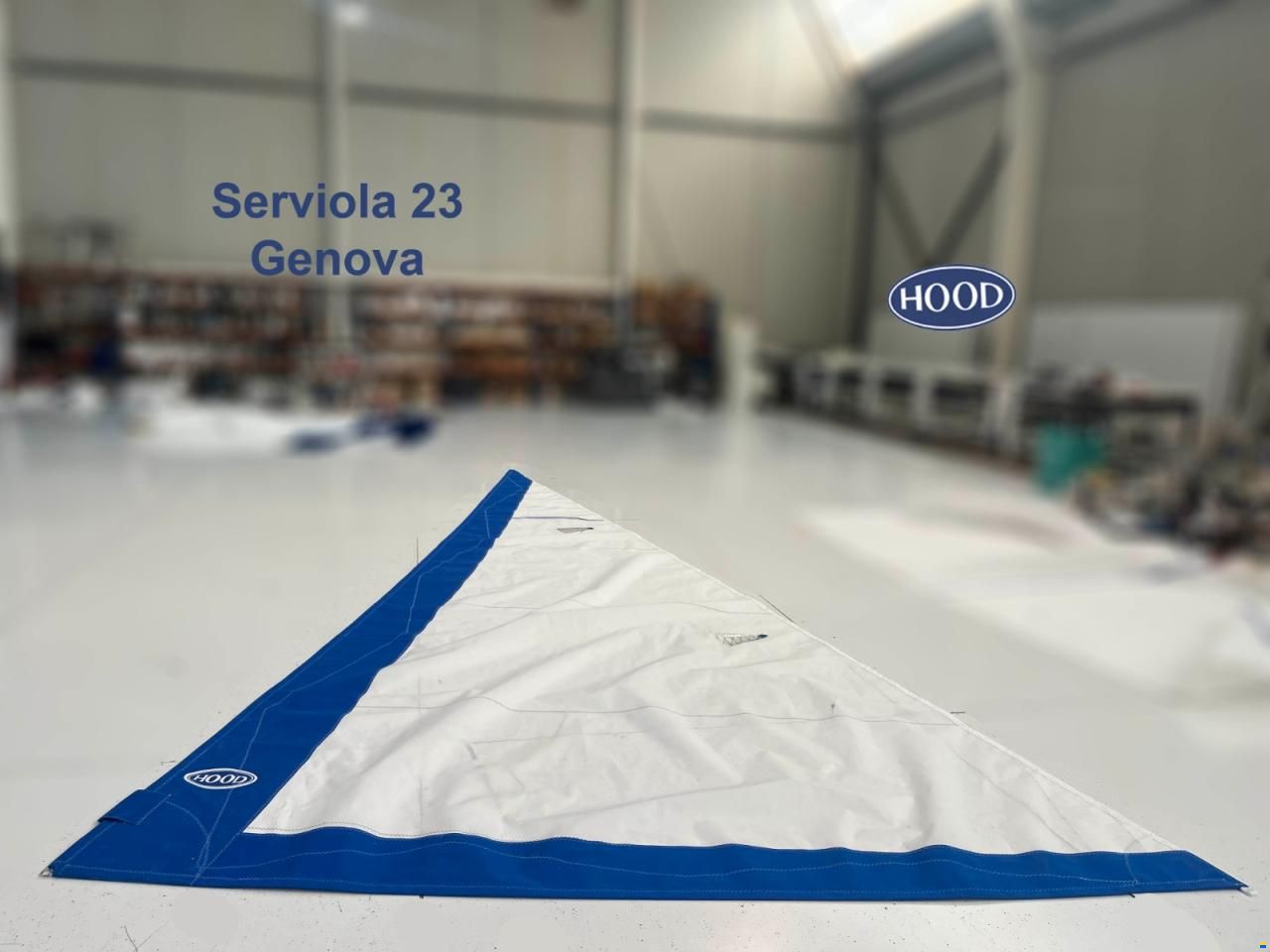 Decision Serviola 23