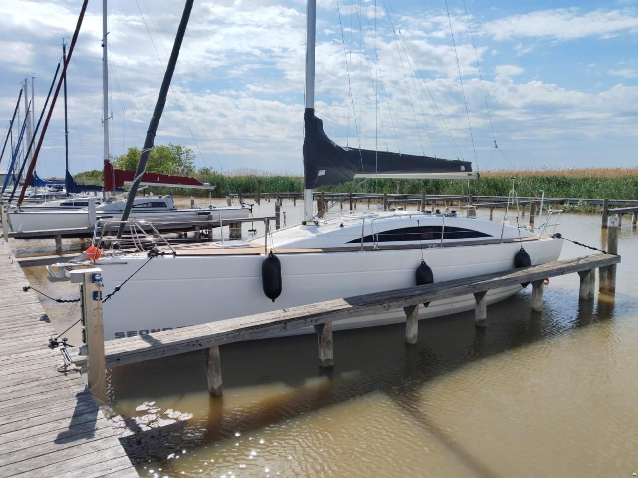 Sedna 30