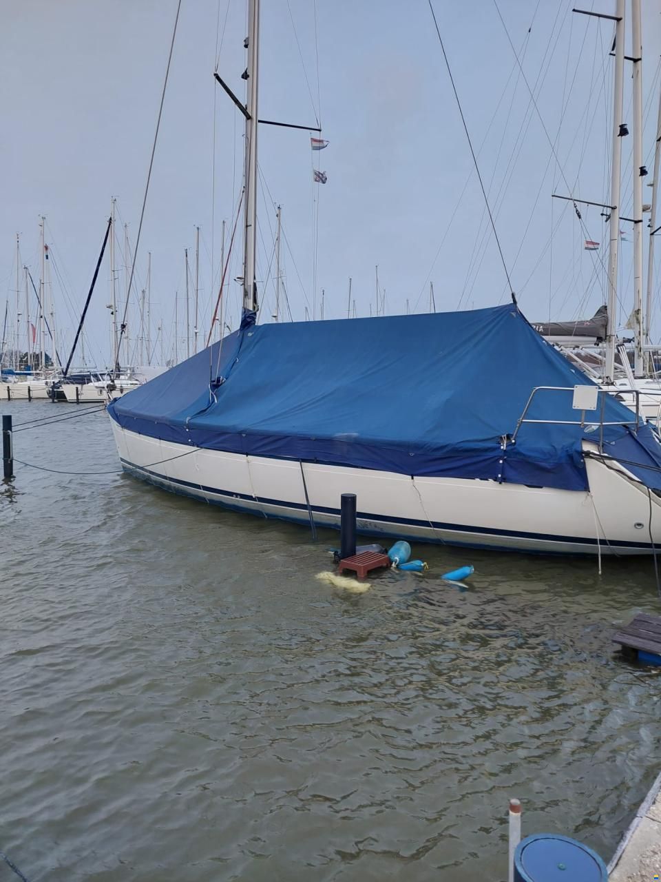 Bavaria 36