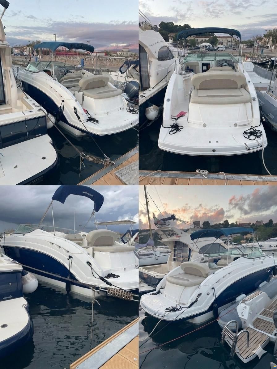 Chaparral Signature 250
