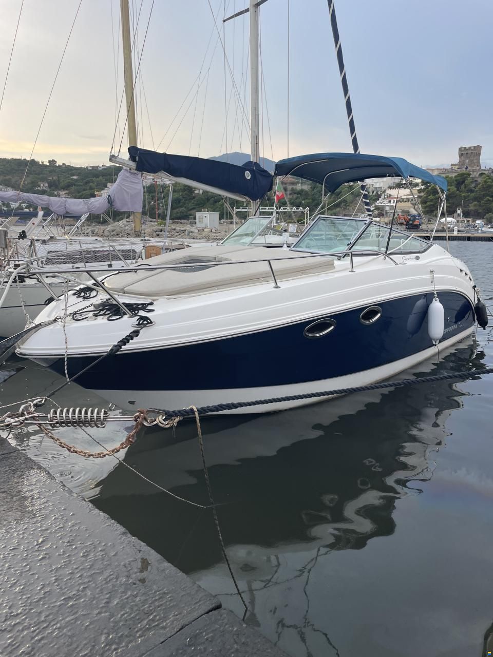 Chaparral Signature 250