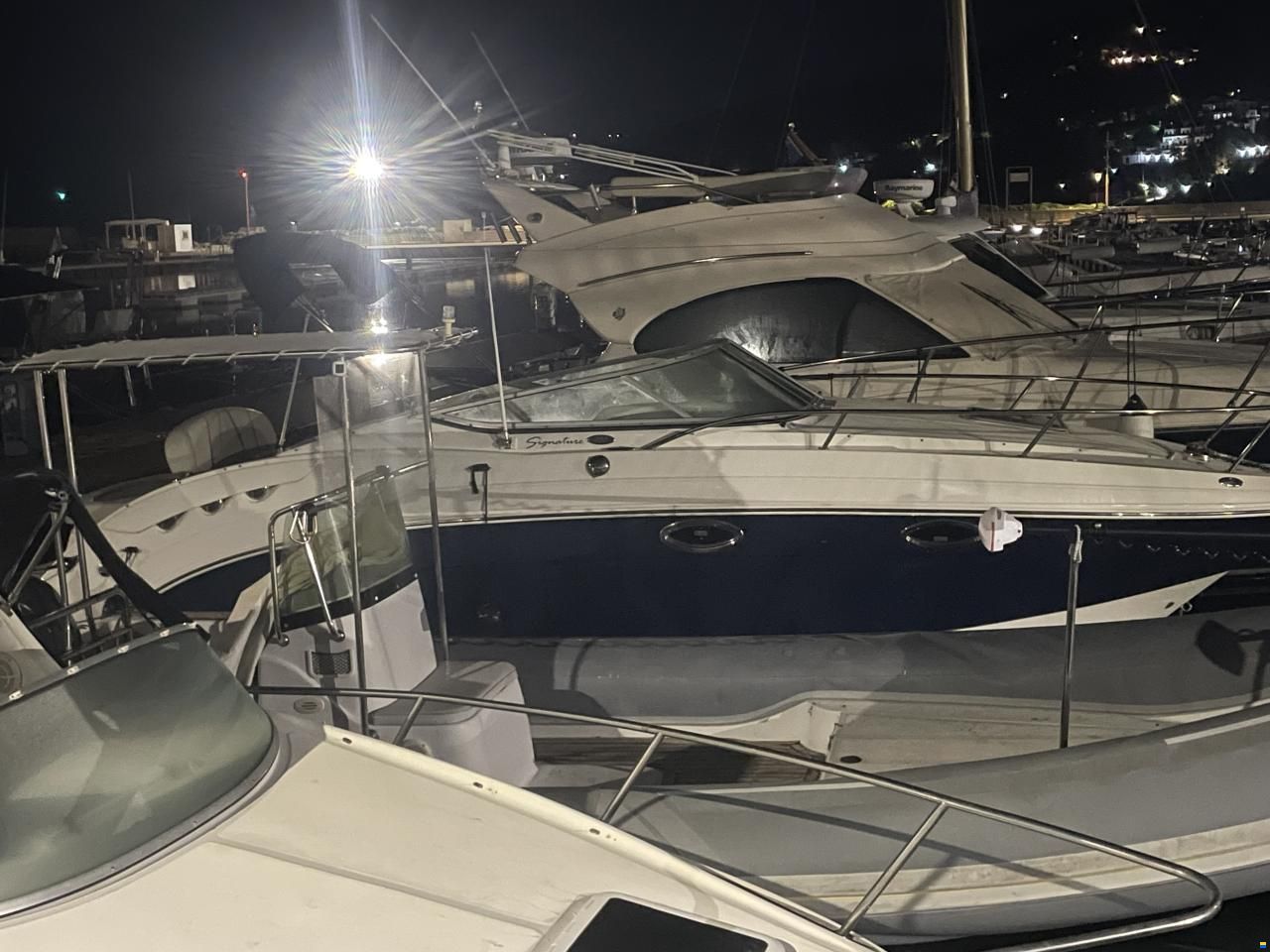 Chaparral Signature 250